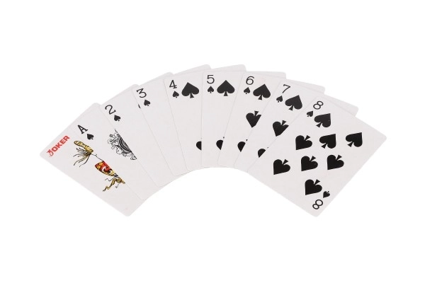 Set Poker 100 Pezzi con Carte e Dadi in Valigetta