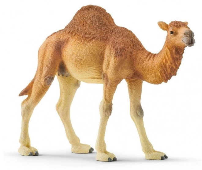 Figurina dromedario Schleich Wild Life