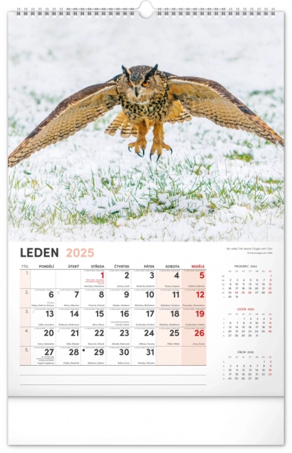 Calendario da parete 2025 cacciatore e natura ceca