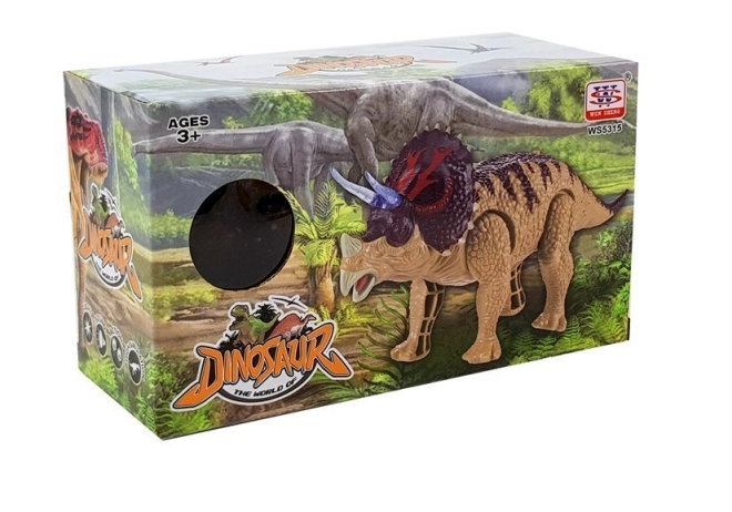 Gioco sicuro e confezione regalo