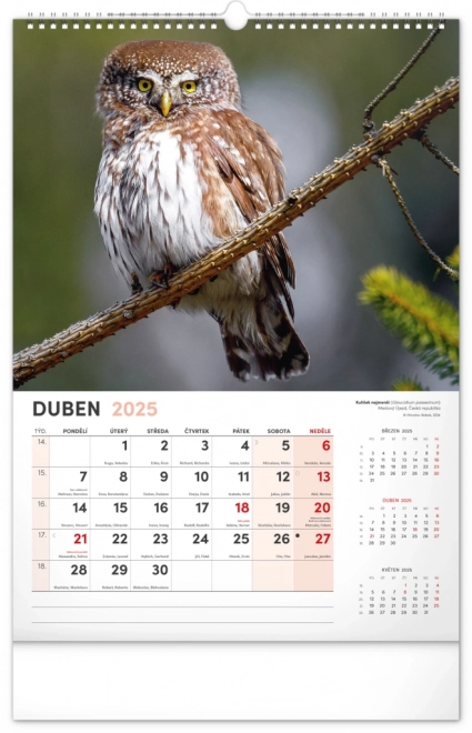 Notique calendario da parete animali affascinanti 2025