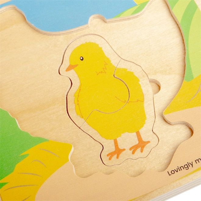 Puzzle Ciclo di Vita della Gallina Bigjigs Toys