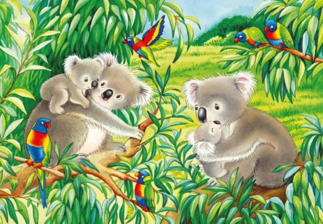 Puzzle Koala e Panda 2x24 Pezzi