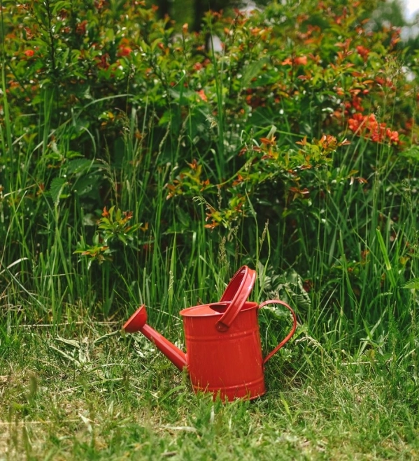 Annaffiatoio in metallo rosso per giardino