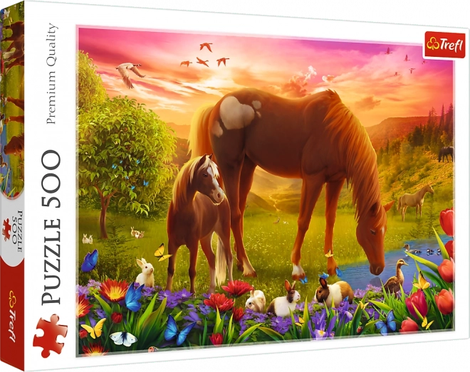 Puzzle 500 pezzi Cavalli al pascolo