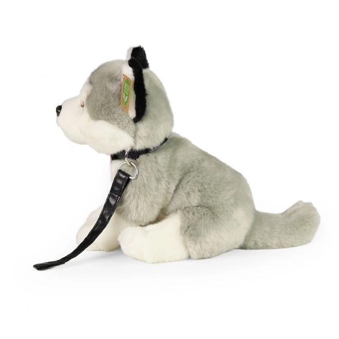 Cane Husky di Peluche con Guinzaglio 28 cm