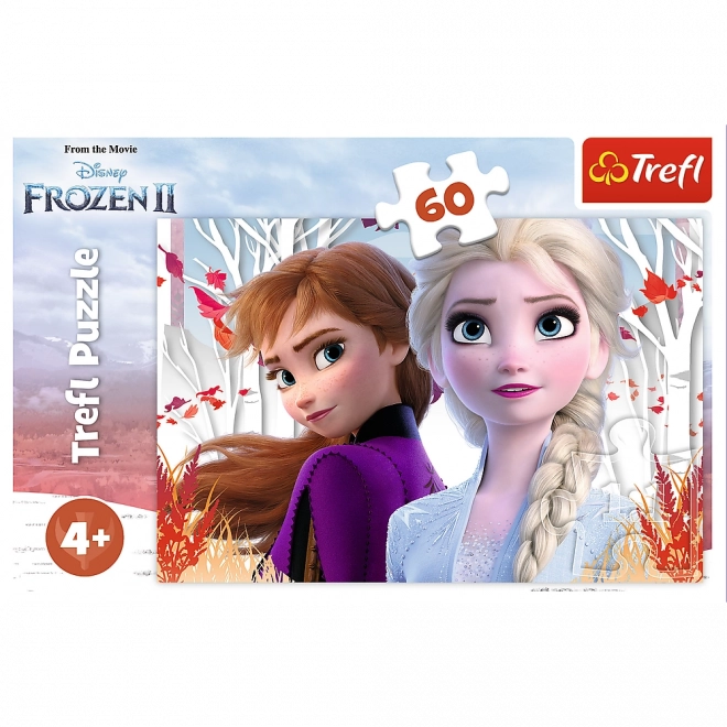 Puzzle 60 Pezzi Kraina Lodu 2 Enchanted World di Anna ed Elsa
