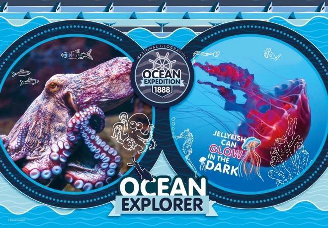 Puzzle National Geographic: Spedizione Oceanica