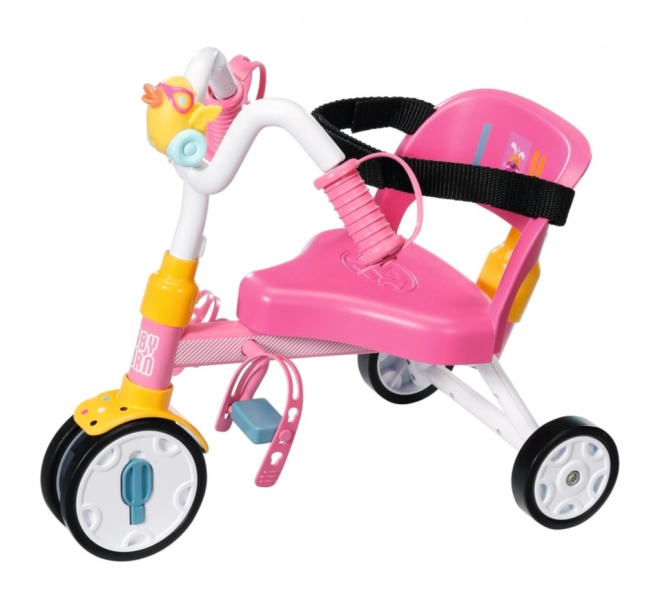 Triciclo per bambini BABY born