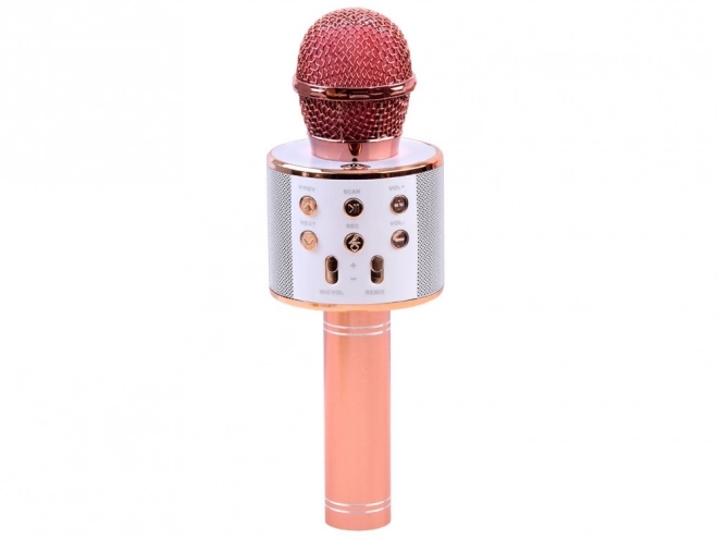 Microfono Karaoke Wireless con Altoparlante