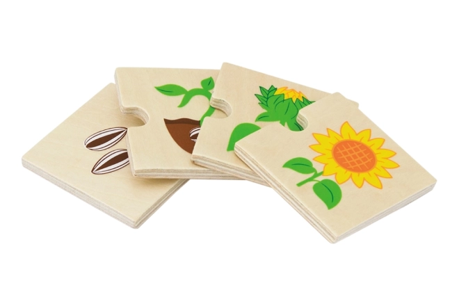 Puzzle in legno animali e piante crescenti
