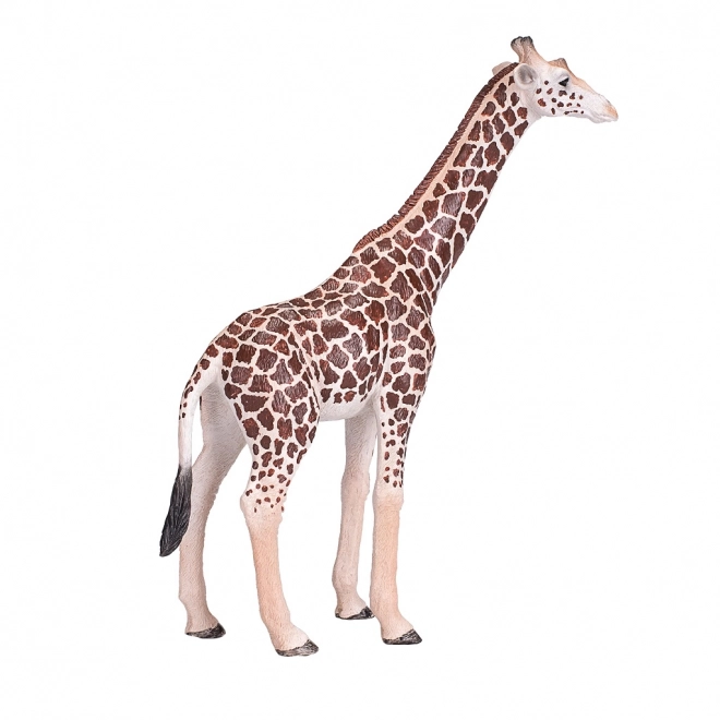 Riproduzione Realistica Giraffa Maschio