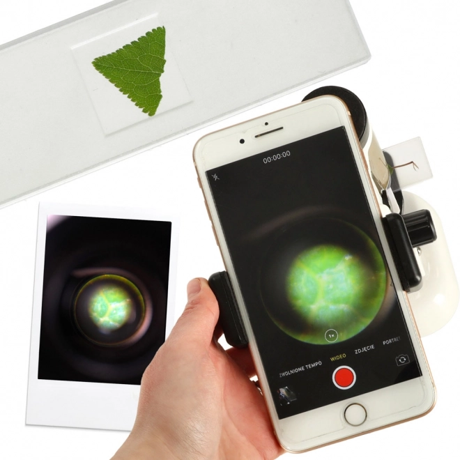 Microscopio educativo per bambini