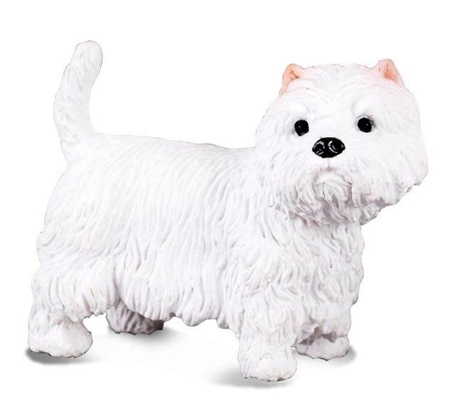 West Highland Terrier Miniatura