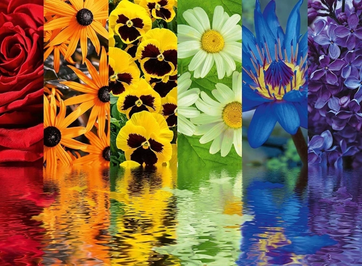 Ravensburger Puzzle Fantasie Floreali 500 pezzi