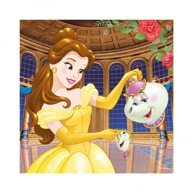 Giochi di puzzle Veselé Princezny 3x55