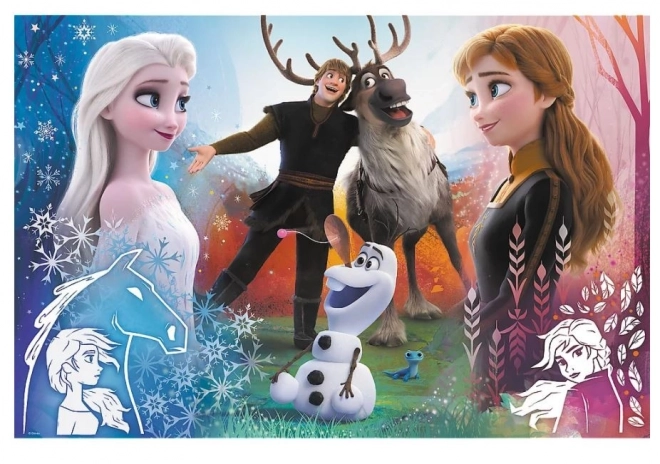 Puzzle Trefl Frozen 2: Magico Tempo 300 Pezzi