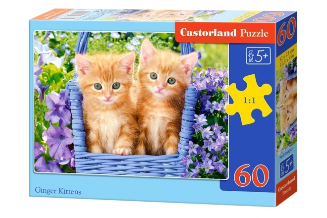 Puzzle 60 Pezzi Gattini Ginger