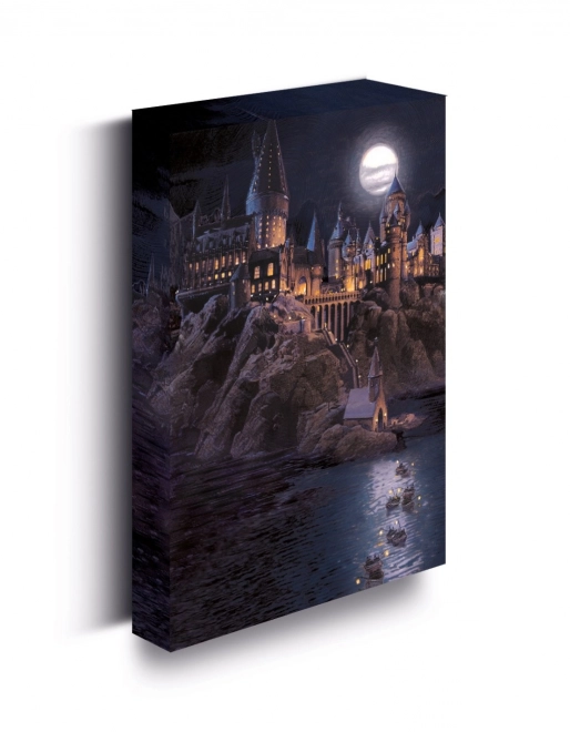 quadro LED luminoso 30x40 cm, Harry Potter - Castello di Hogwarts