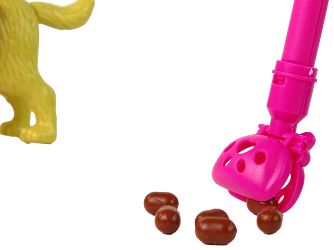 Accessori per cura e ordine