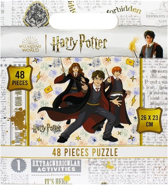 Puzzle Harry Potter 48 pezzi