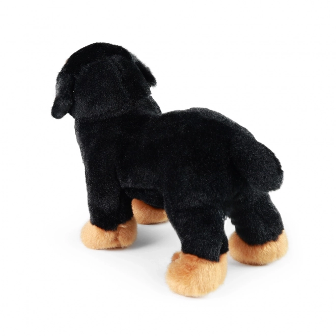 Rotweiler di peluche ecologico 18 cm