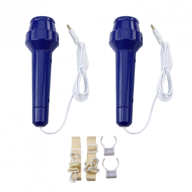 Set karaoke due microfoni e altoparlante bluetooth