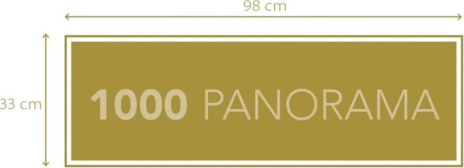 Formato panoramico per un risultato d’impatto