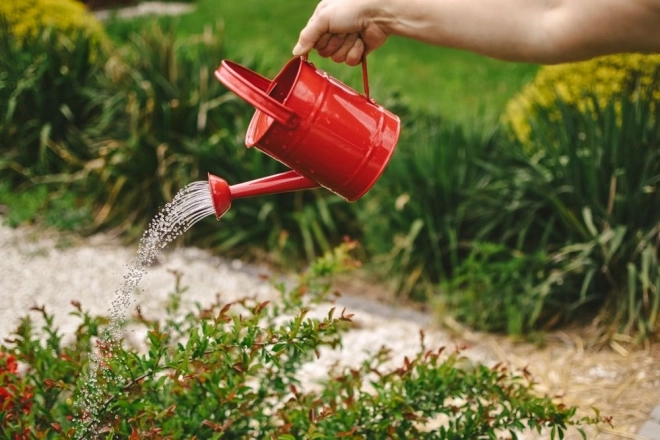 Annaffiatoio in metallo rosso per giardino