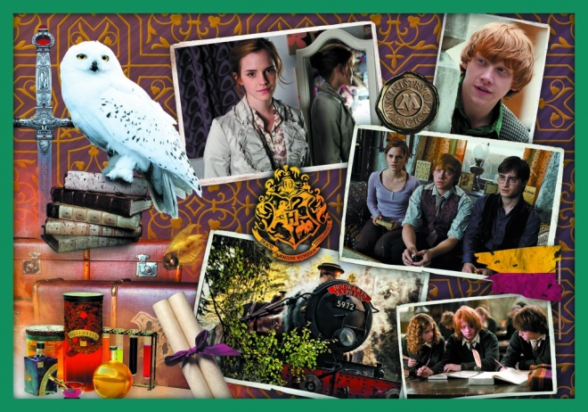 Puzzle Harry Potter Mega Pack 10 in 1 di Trefl