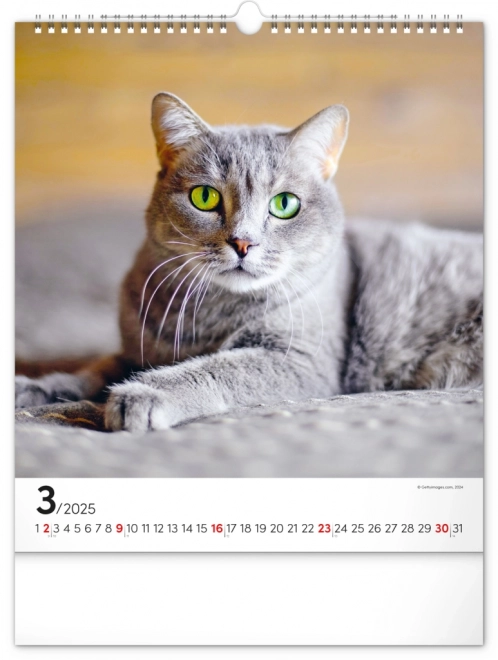 Calendario da parete Gatti 2025