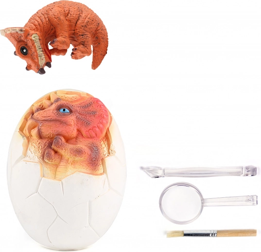 Tutto il necessario per piccoli paleontologi