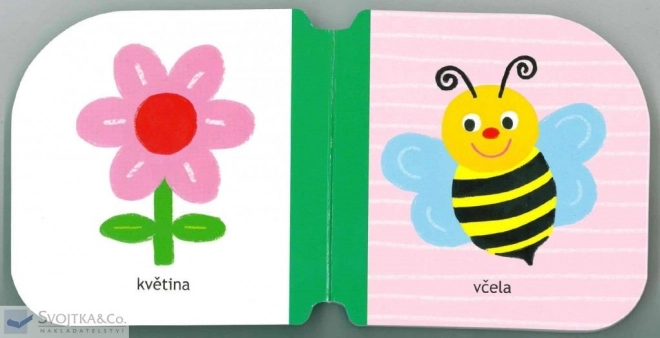 Il mio primo libro - Piccoli anatroccoli