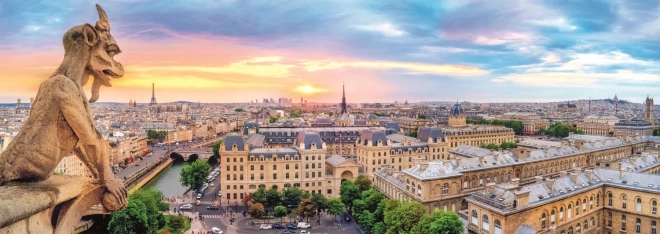 Puzzle panoramico vista dalla cattedrale di Notre-Dame 1000 pezzi