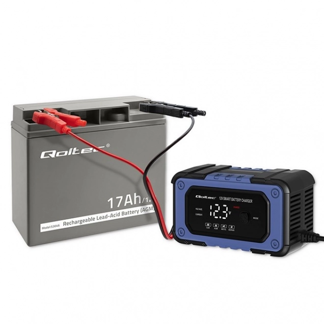 Batteria AGM 12V 17Ah per sistemi di emergenza