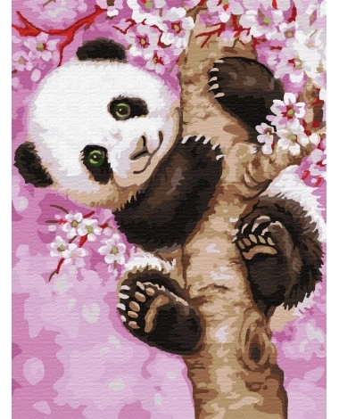 Pittura per numero Panda Giocherellone 30x50