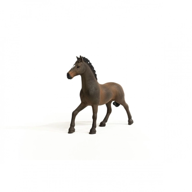 Figurina Stallone Oldemburghese Horse Club