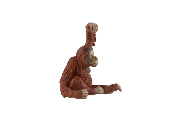 Orangutan di Sumatra figurina in plastica 8 cm confezionata