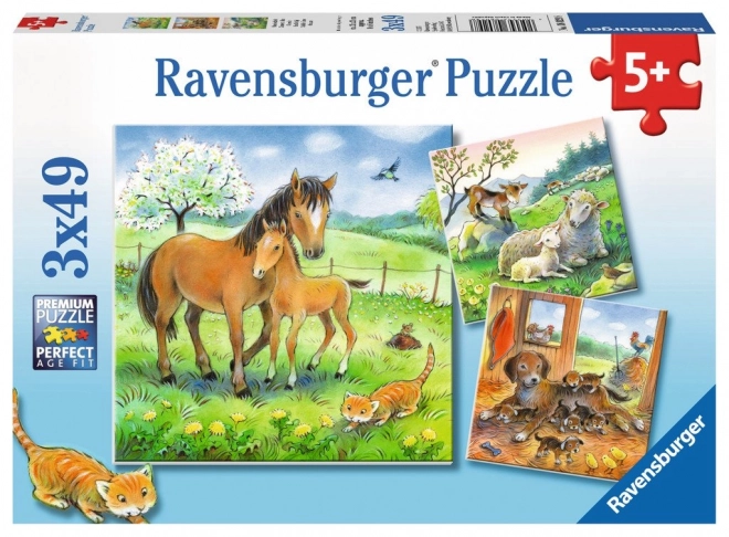 RAVENSBURGER puzzle – Coccole degli animali, 3×49 pezzi