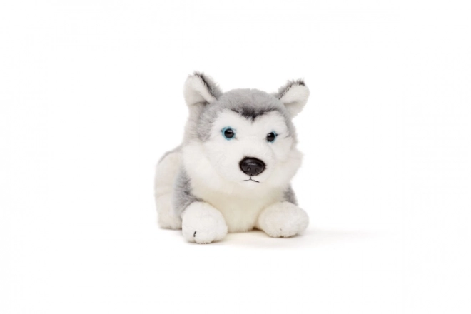 Husky di peluche 15 cm