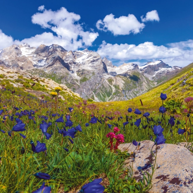 Calendario da parete Alpi 2025