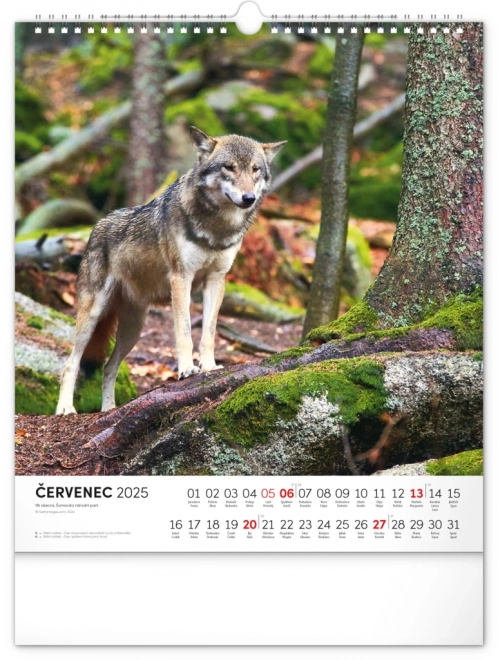 Calendario Murale Šumava 2025