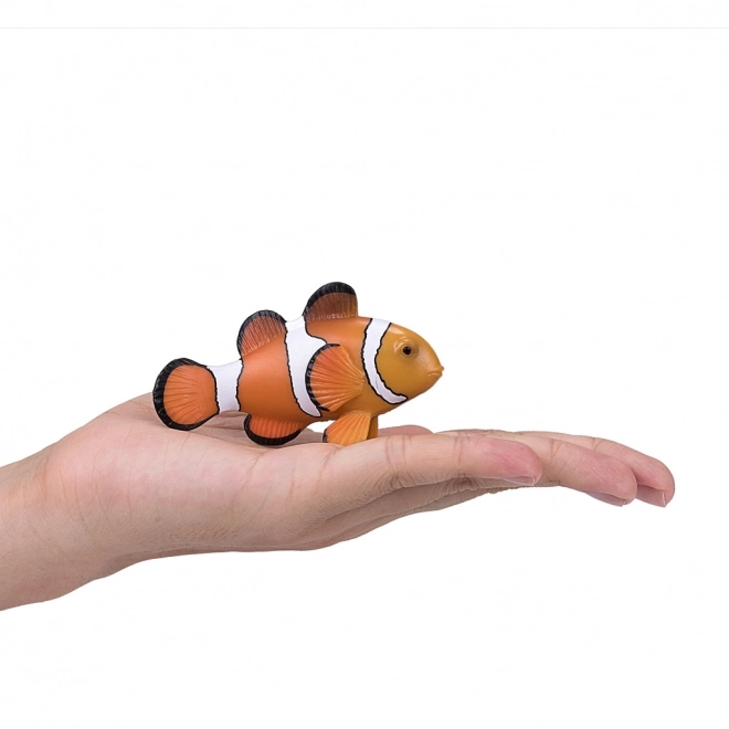 Clownfish Mojo