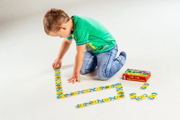 Domino animali in legno - il mio primo gioco