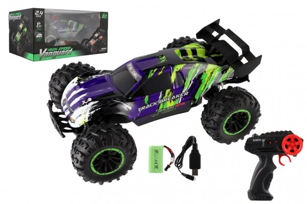 Auto Rc Buggy Veloce 2,4 GHz Plastico 40cm Ricaricabile Viola