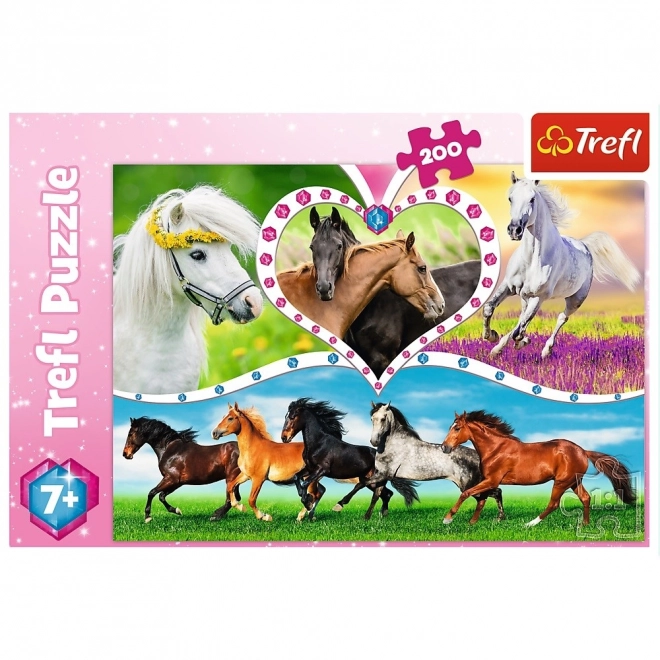 Puzzle 200 Pezzi - Bellissimi Cavalli