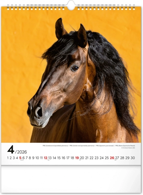 Calendario da parete cavalli 2026
