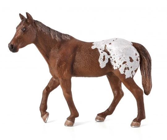 Mojo Stallone Appaloosa Blanket