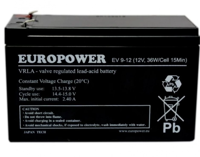 Batteria EV 12V 9Ah