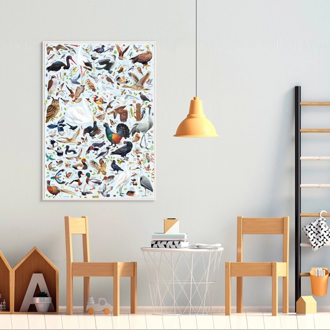 Puzzle Puzzlove Uccelli 200 pezzi